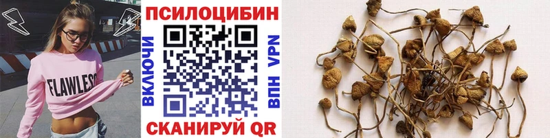Галлюциногенные грибы MAGIC MUSHROOMS  Всеволожск 